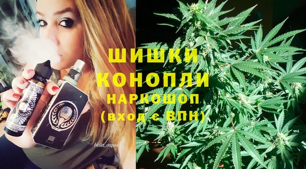 spice Алзамай