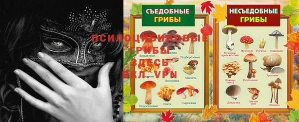 молекула духа Алексин