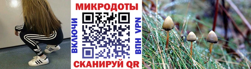 Псилоцибиновые грибы мухоморы Барыш